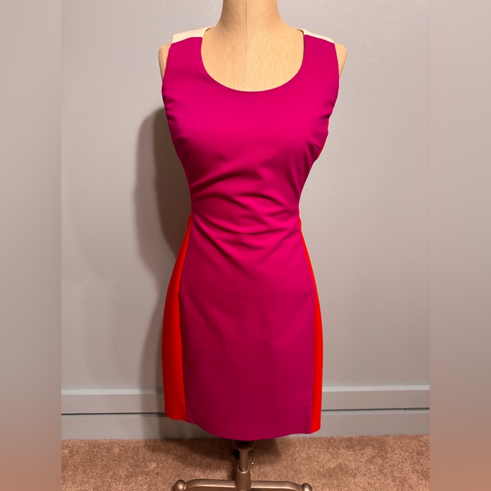 Badgley Mischka Fuchsia and Red Mini Dress